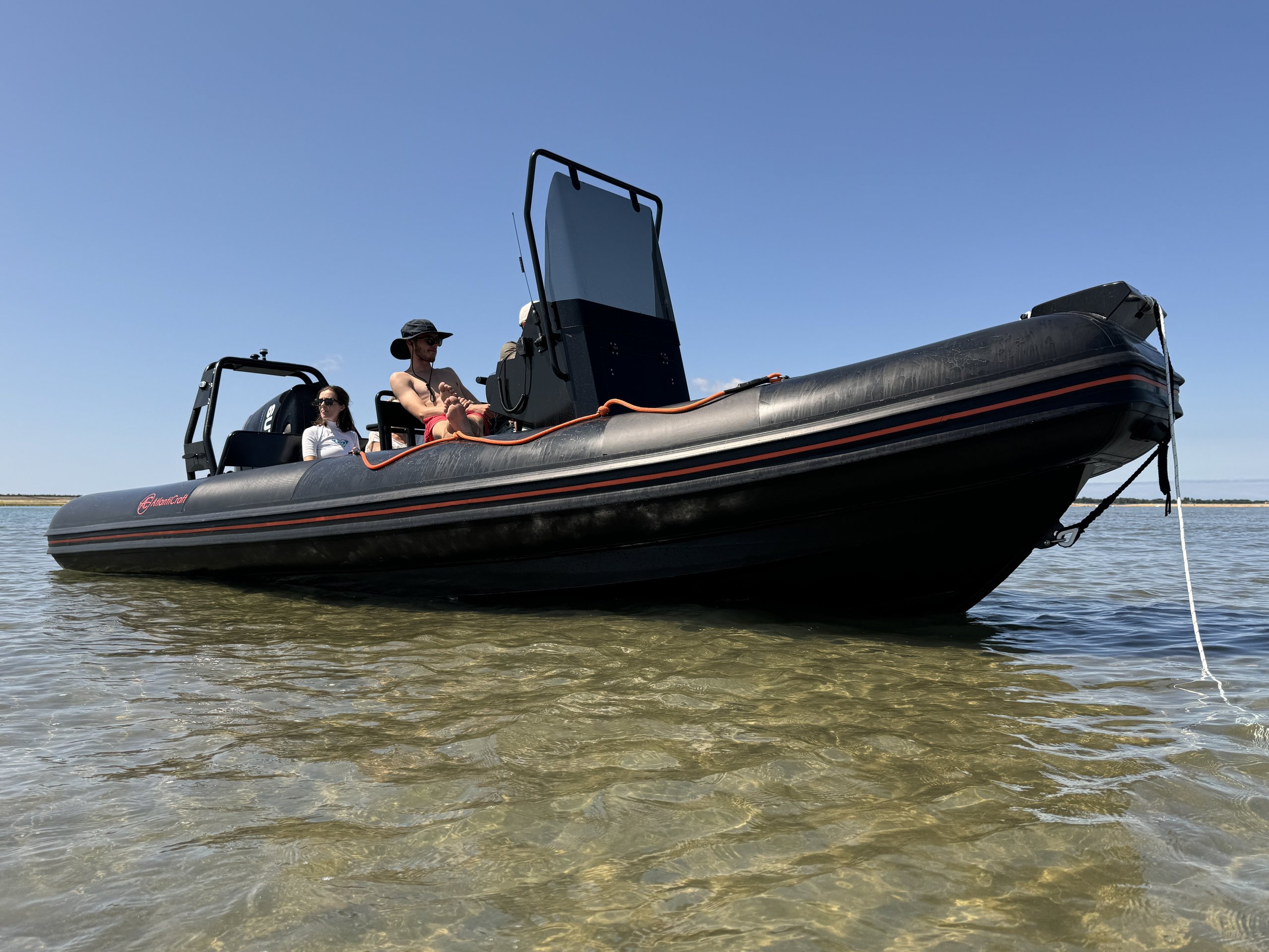 BLACKPEARL 6.0 – Image 2